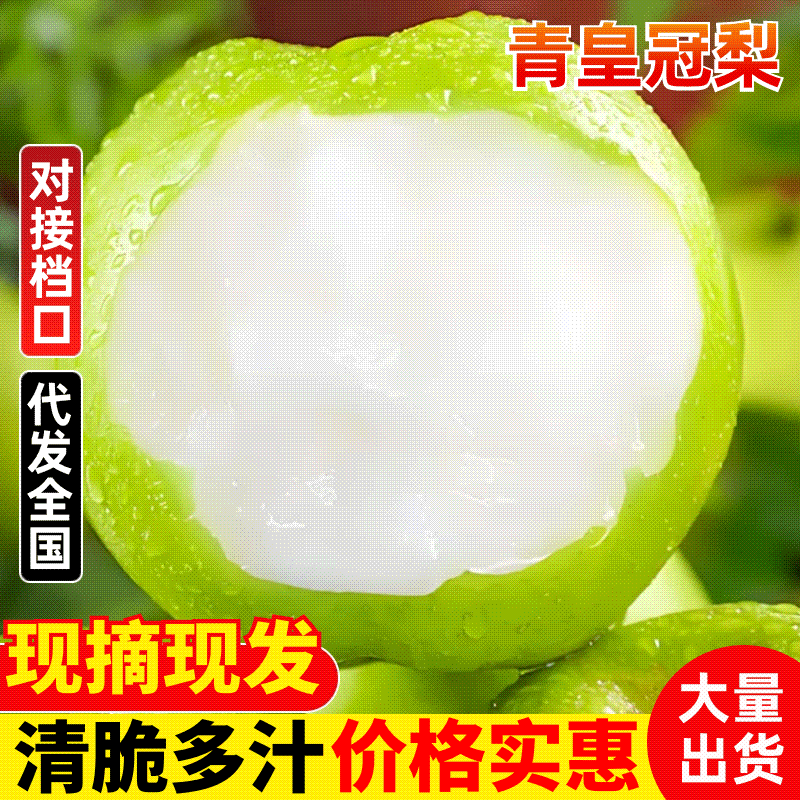 砀山青黄冠梨，皇冠梨皮薄脆甜，耐运输，产地大量供应代发全国