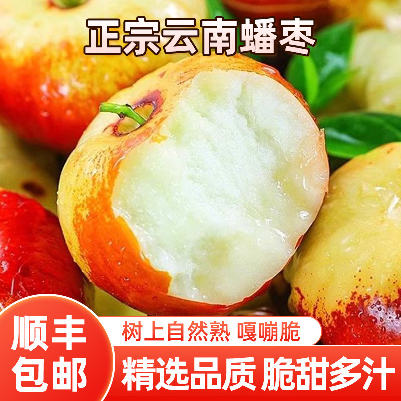 云南高山蟠枣一件代发产地直发一手货源对接各大电商平台