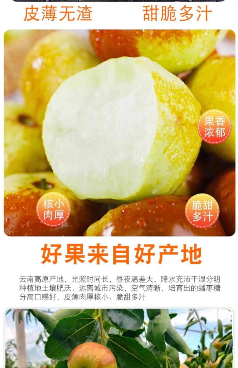 云南高山蟠枣一件代发产地直发一手货源对接各大电商平台