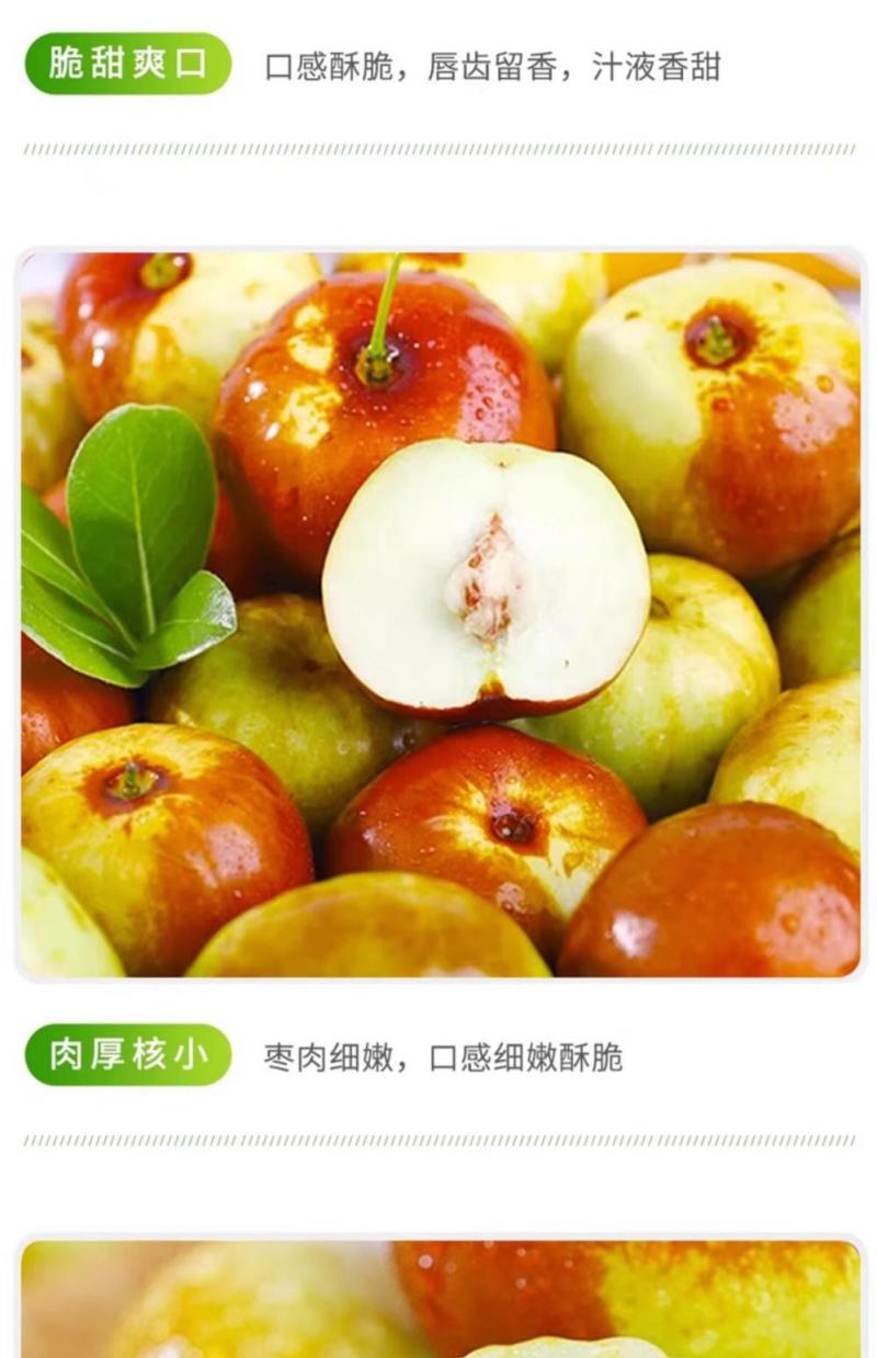 云南高山蟠枣一件代发产地直发一手货源对接各大电商平台