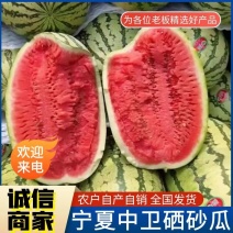 金花西瓜&宁夏西瓜金花1号6号农户自种/基地直发