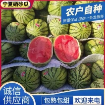 《宁夏金花西瓜》金花1号+6号宁夏西瓜/农户自产自销