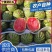 《宁夏金花西瓜》金花1号+6号宁夏西瓜/农户自产自销