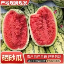 农户自种1000亩/双红金城&宁夏硒砂瓜/大红瓤包熟包甜