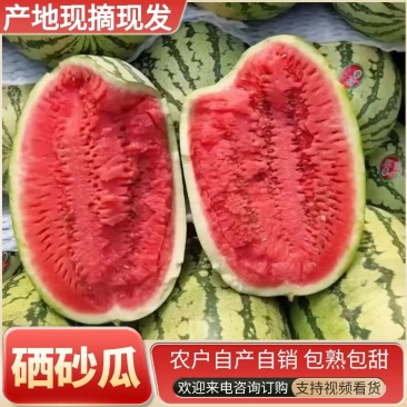农户自种1000亩/双红金城&宁夏硒砂瓜/大红瓤包熟包甜