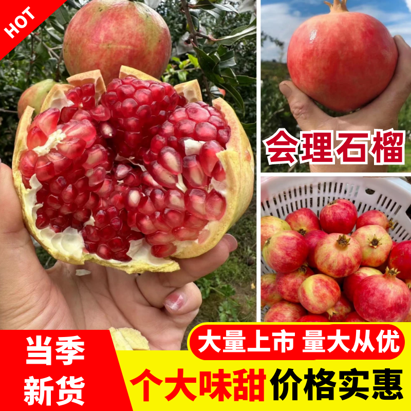 会理石榴四川石榴会理石榴量大优惠饱满多汁汁水丰富