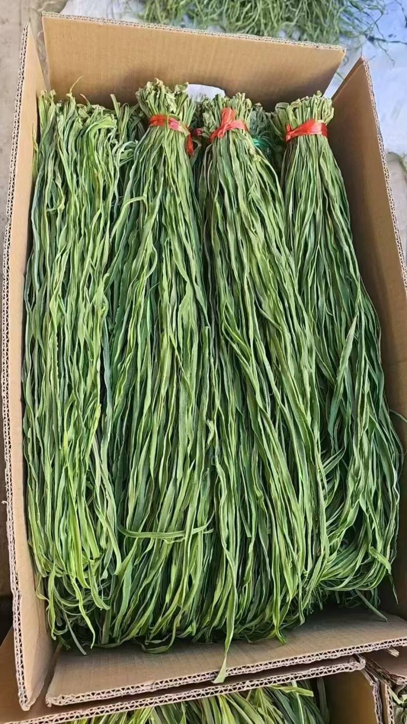 【三级菜】涡阳产地直发贡菜三级菜厂家直发价优可视频看货