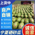 金花6号&宁夏西瓜&金花系列/农户自种/包熟包甜对接全国