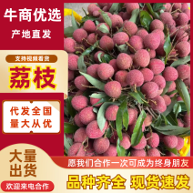 【荔枝】广西黑叶荔枝甜蜜多汁产地直供欢迎来电咨询