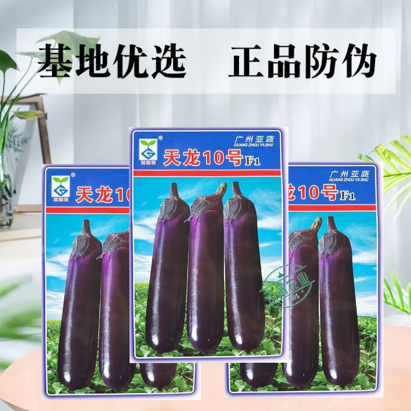 【广州亚蔬】天龙10号中熟长茄子种子基地大田春秋烧烤茄