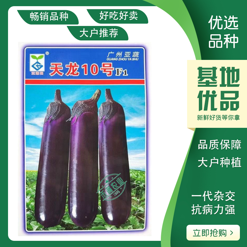 【广州亚蔬】天龙10号中熟长茄子种子基地大田春秋烧烤茄