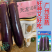【广州亚蔬】天龙10号中熟长茄子种子基地大田春秋烧烤茄