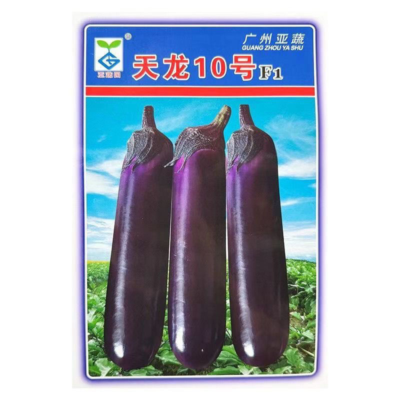 【广州亚蔬】天龙10号中熟长茄子种子基地大田春秋烧烤茄
