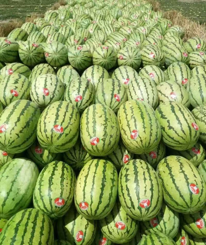 热卖甘肃硒砂瓜石头瓜甘肃西瓜口感甜个头大价格实惠欢迎电联