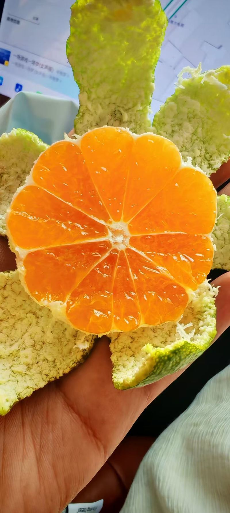 【实力供货】湖北蜜橘清甜可口价格美丽质量好走货快欢迎询价