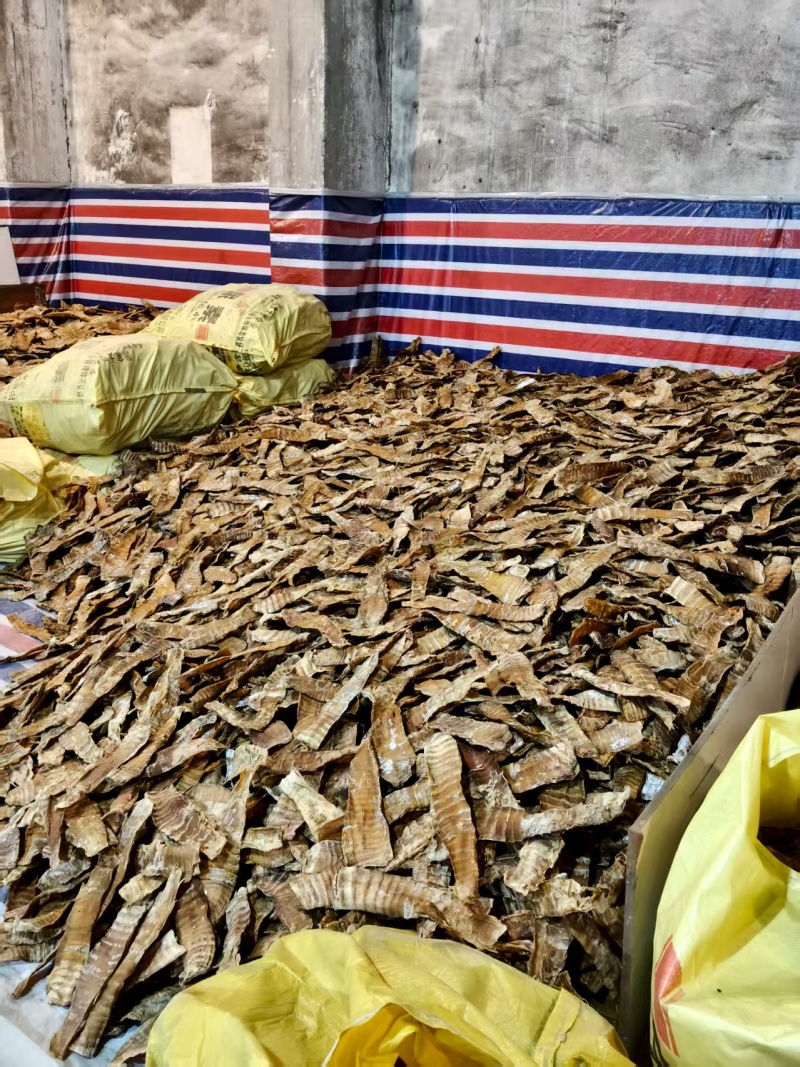 精品长尖笋干大量上市对接各大商超量大从优欢迎选购