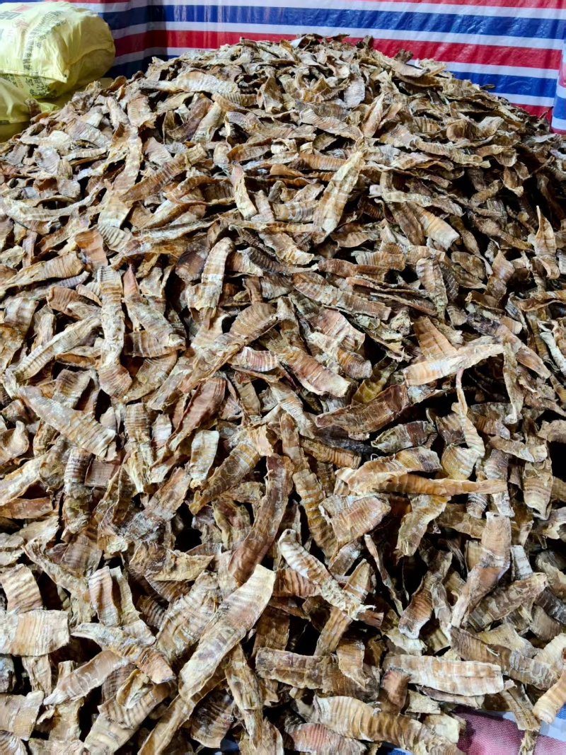 福建精品特级笋干大量上市对接商超量大从优欢迎选购