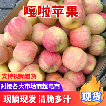 嘎啦苹果陕西早熟嘎啦苹果脆甜多汁基地直发代发全国