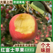 【优选】陕西红富士苹果脆甜汁多，量大从优欢迎选购
