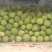电商市场货泰八菠萝蜜5-12斤大量供应，对接全国
