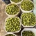 正宗青甜2号巨甜绿色小番茄圣女果小番茄大量供应可