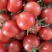 贝贝圣女果小番茄圣女果全国发货对接电商市场商超