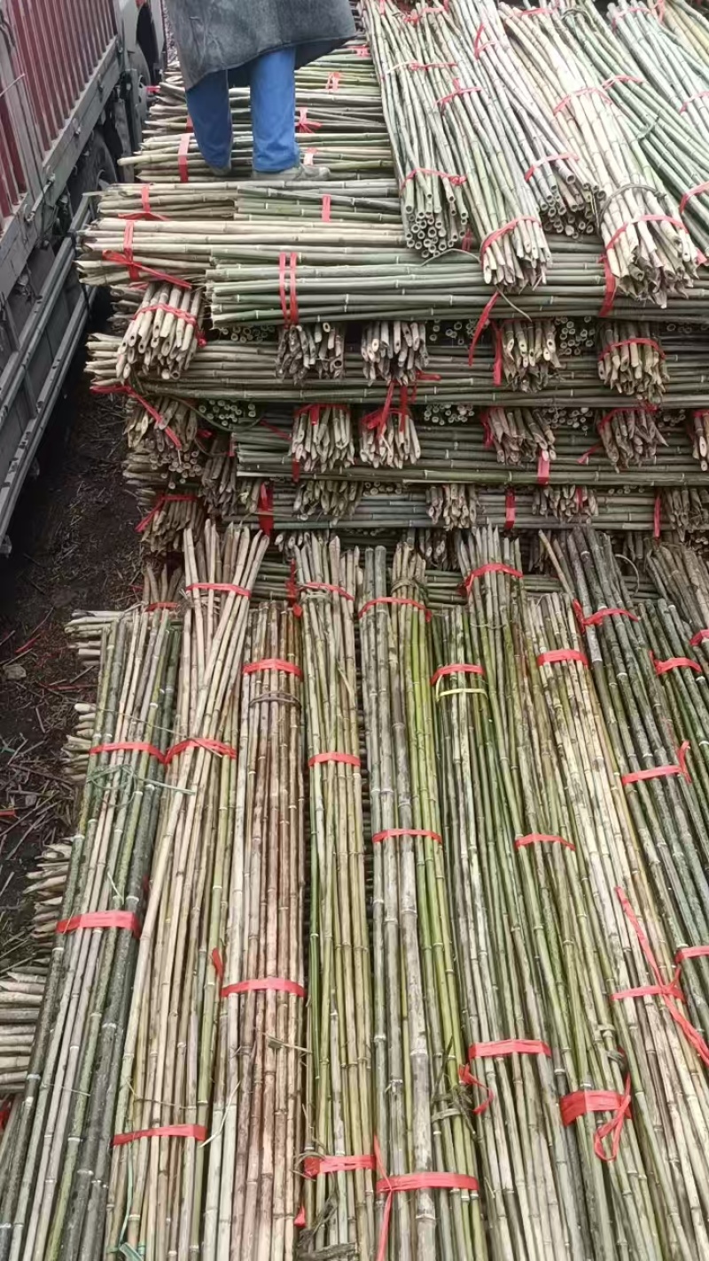 精品竹竿菜架竹短节壁厚韧性硬度好的金竹山行