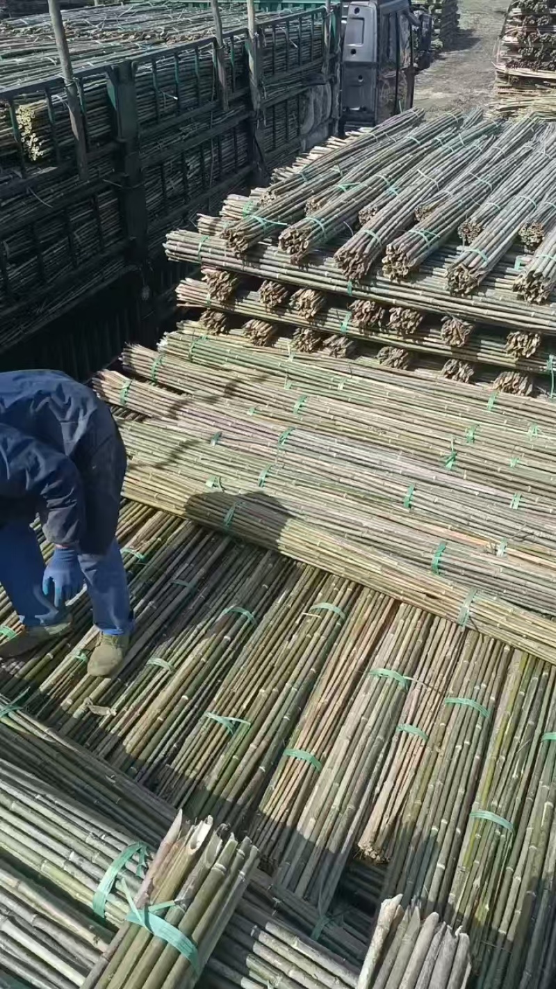 精品竹竿菜架竹短节壁厚韧性硬度好的金竹山行