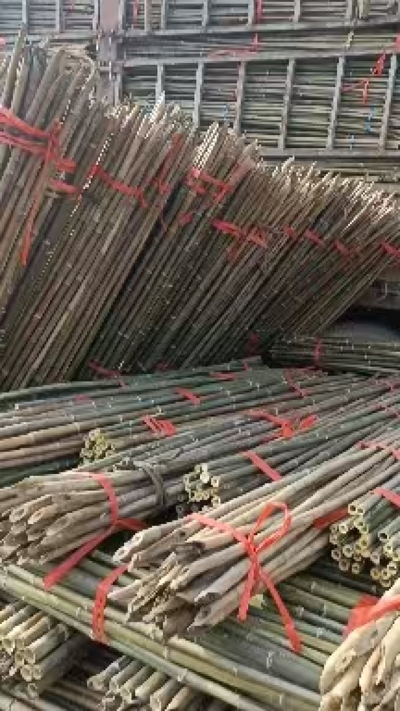 竹竿山头价直销，价格优惠品种不一样价格不一样电联详谈