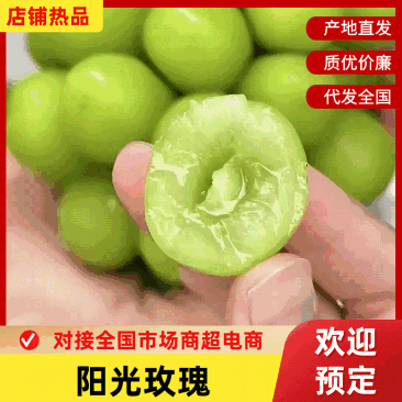 阳光玫瑰品质保证服务周到产地直发价格便宜