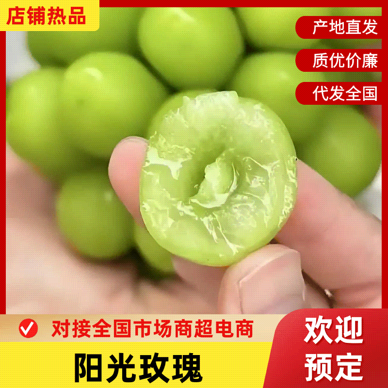 阳光玫瑰品质保证服务周到产地直发价格便宜