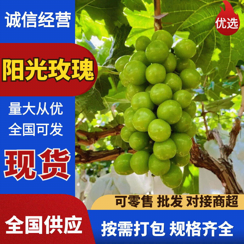阳光玫瑰品质保证服务周到产地直发价格便宜