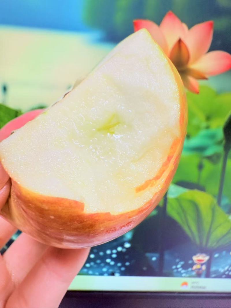 红嘎啦苹果