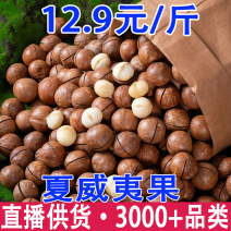 新货夏威夷果夏威夷果批发夏威夷果代发夏威夷果