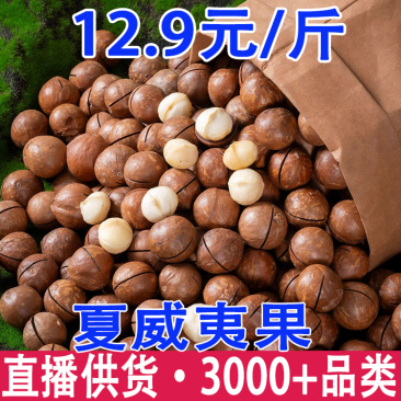 新货夏威夷果夏威夷果批发夏威夷果代发夏威夷果