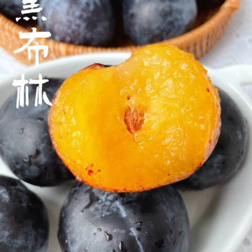 黑布林