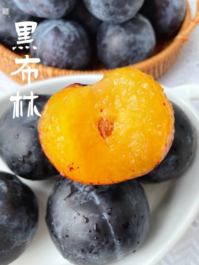 黑布林