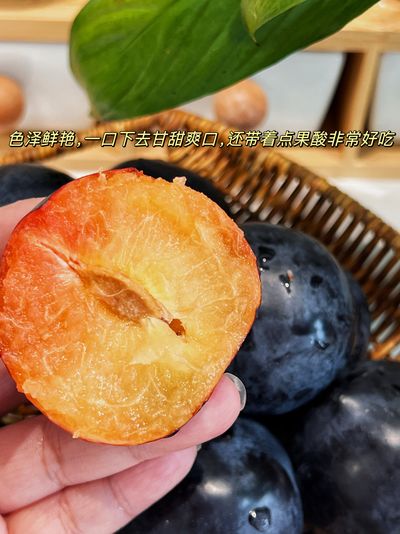 黑布林