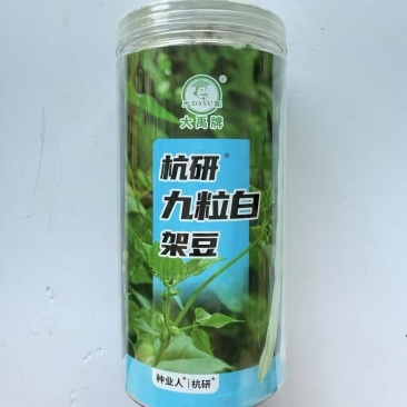 白架豆种子，结英均匀面，始花位低，豆英圈棍形，纤维少，品质好