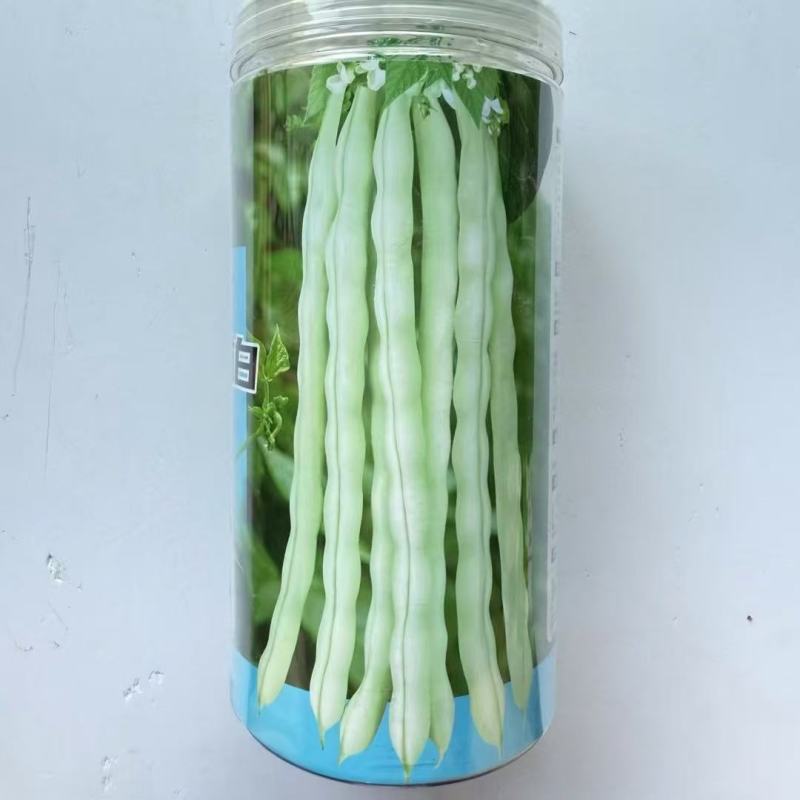 白架豆种子，结英均匀面，始花位低，豆英圈棍形，纤维少，品质好