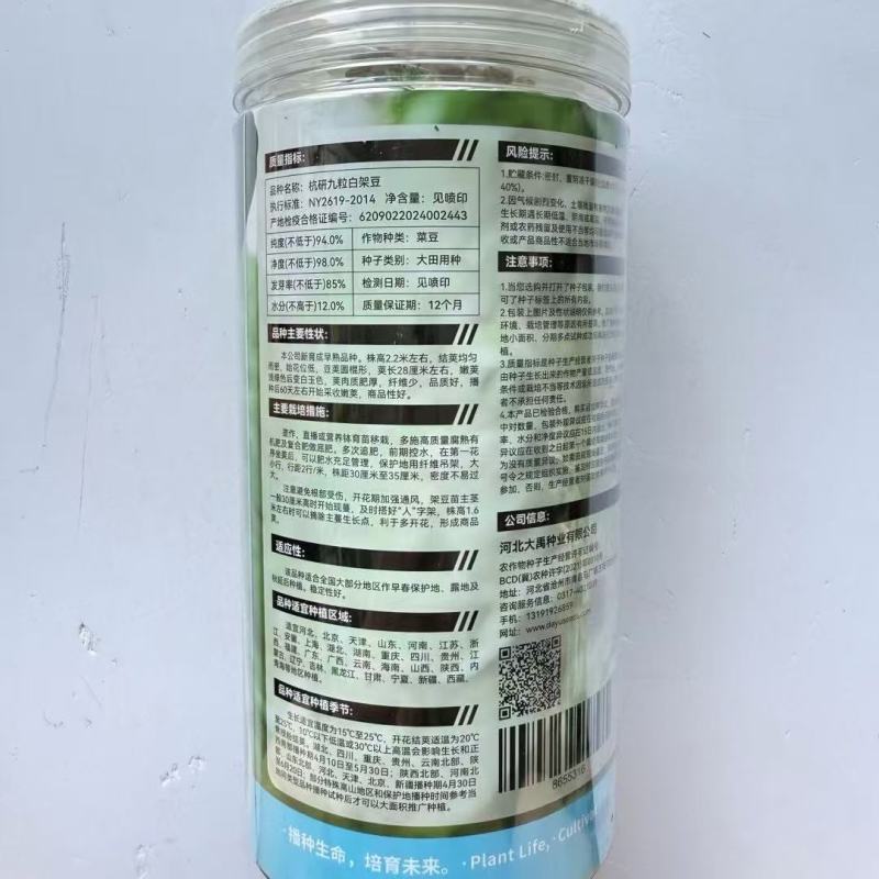 白架豆种子，结英均匀面，始花位低，豆英圈棍形，纤维少，品质好