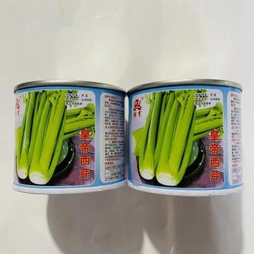 皇帝西芹种子，耐低温，叶福黄绿有光泽，少纤维，株形抱合