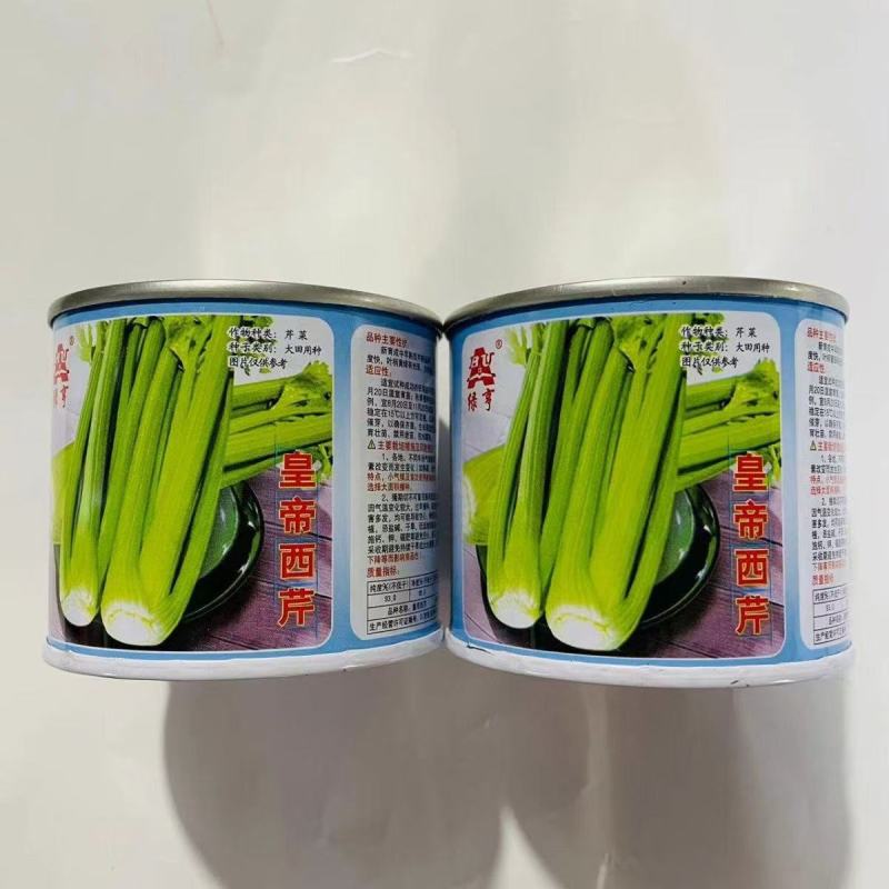 皇帝西芹种子，耐低温，叶福黄绿有光泽，少纤维，株形抱合