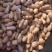 湖北蜜本南瓜香甜可口入口即化美味不用等走货全国量大从优