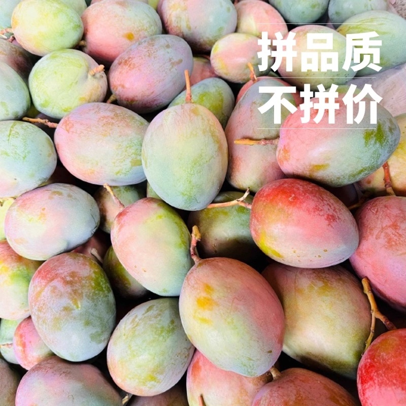 一件代发四川凯特芒，支持各大电商平台服务