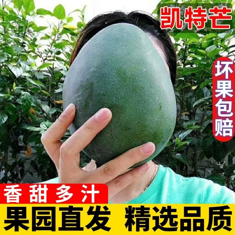 一件代发四川凯特芒，支持各大电商平台服务