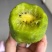 一件代发，米粮一号绿心猕猴桃