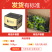 一件代发，香水柠檬
