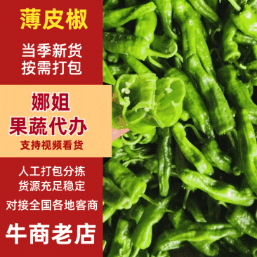 【实力发货】薄皮椒规格齐全诚信发货质量保证