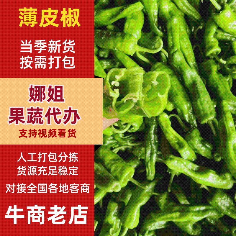 【实力发货】薄皮椒规格齐全诚信发货质量保证